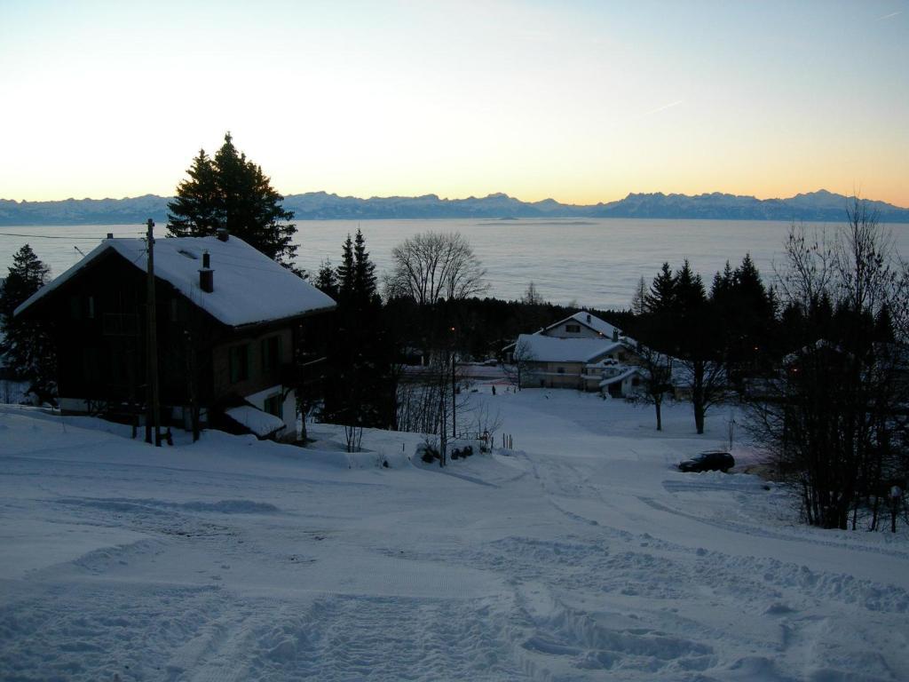 Отель Le Coucou Et Chalet Beau-Site Les Rasses Экстерьер фото